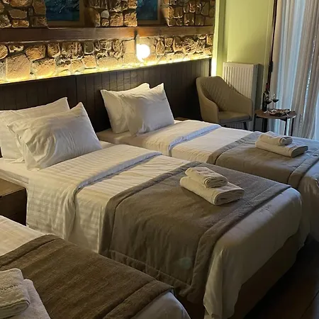 ζέον ύδωρ 3*