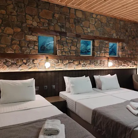 ζέον ύδωρ Konukevi Órma