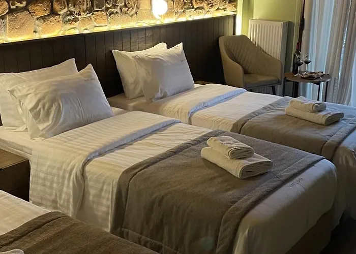 ζέον ύδωρ 3*